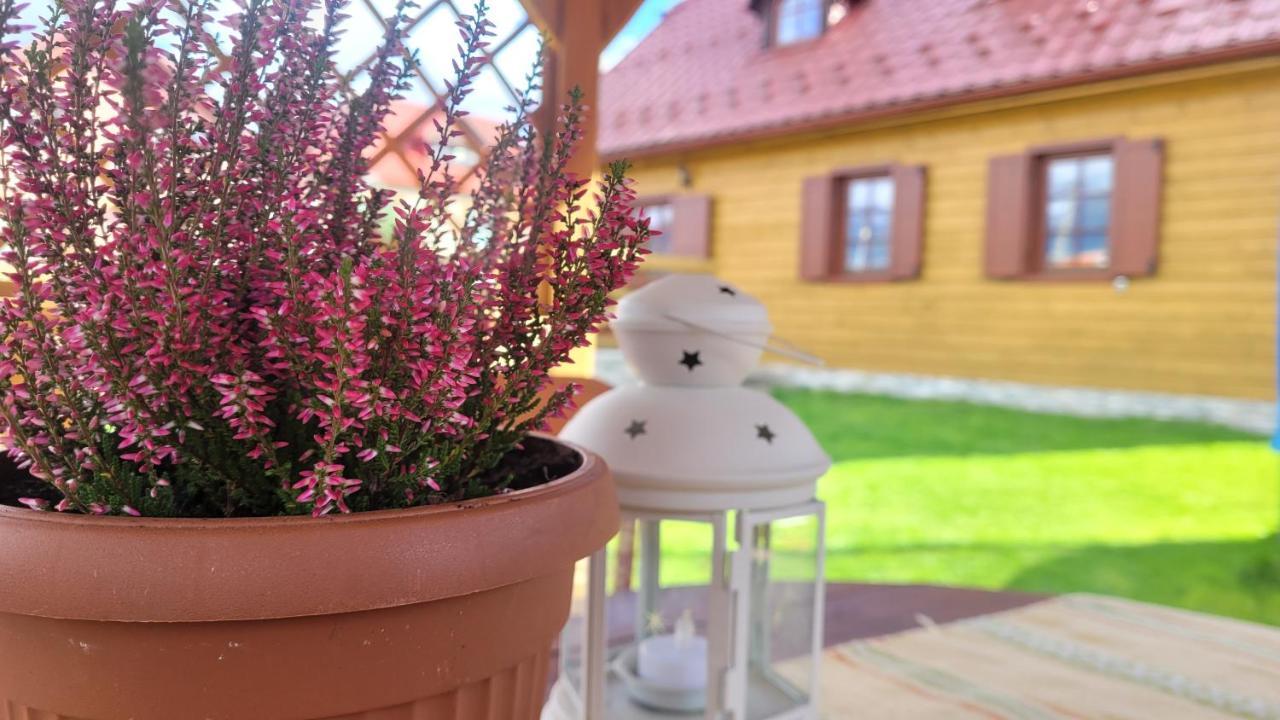 Holidayhouse Chalupa Alzbetka Važec Exterior foto